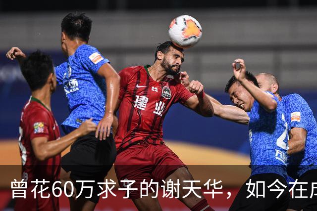 曾花60万求子的谢天华，如今在成都陪11岁儿子喂熊猫，状态太真实